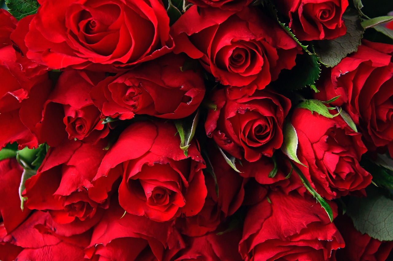 My Girlfriend Received a Rose Bouquet Delivery, but It Was Not from Me – The Truth behind It Turned My Life Upside Down